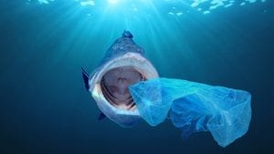 stop-emballage-plastique