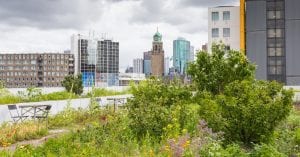 agriculture-urbaine