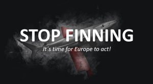 finning-stop