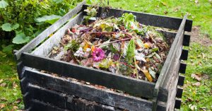 bac-compost