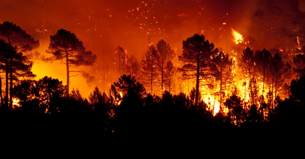 incendies